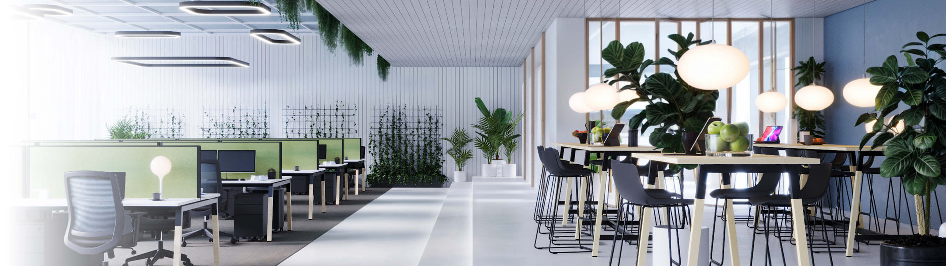 Fitout Header
