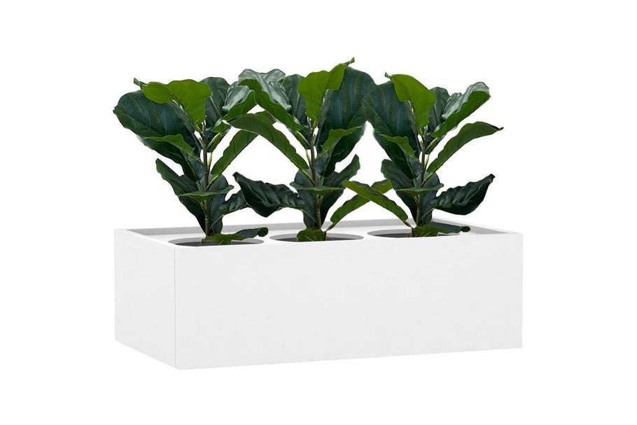 Environmental image of Fiddle 12 Leaves 500mm High - Set of 3