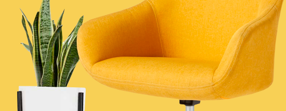 Go from an empty office to a quality fitout.