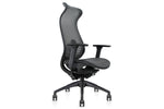 Pelican Ergonomic High Back Mesh Chair