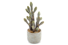  - Flora Artificial Desert Cactus 320mm - 1