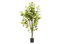  - Flora Artificial Ficus 1200mm - 1