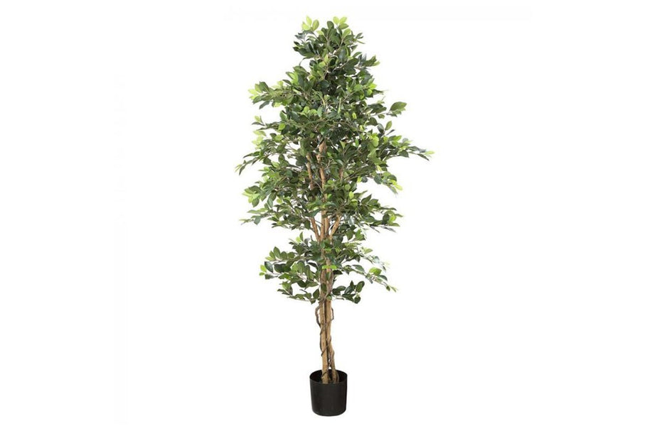 Environmental image of Flora Artificial Ficus Retusa Bush Tree 1800mm