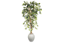  - Flora Artificial Ficus Tree 1700mm - 1