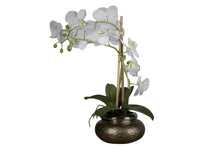  - Flora Artificial Orchid Phalaenopsis in Antique Brass Bowl - 1