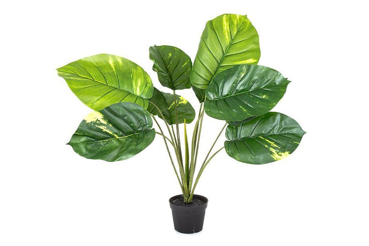 Flora Artificial Pothos Real Touch 700mm Flora Green