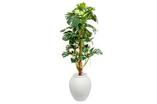  - Flora Artificial Split-Leaf Philodendron 1500mm - 1