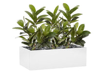  - Flora Rubber Plant Tree with 58 Leaves 960mm H - Set of 3 - 1