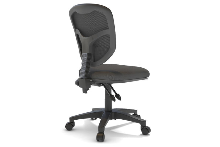 Plover Ergonomic Chair - Fabric Back Jasonl 