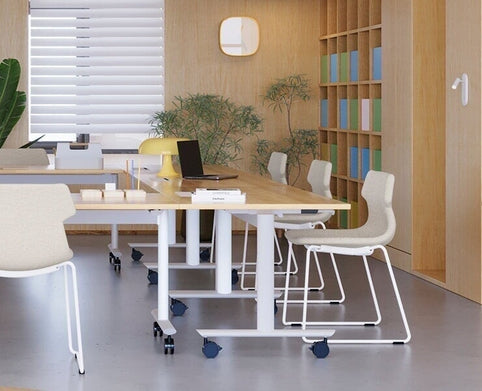 Classroom and Study Area