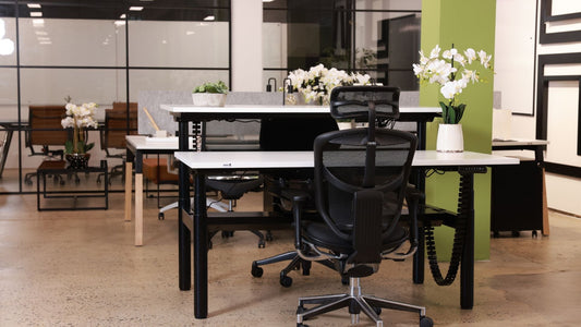 Sitting Comfortably in the Office: The Ultimate Guide to Ergonomic Mesh Chairs