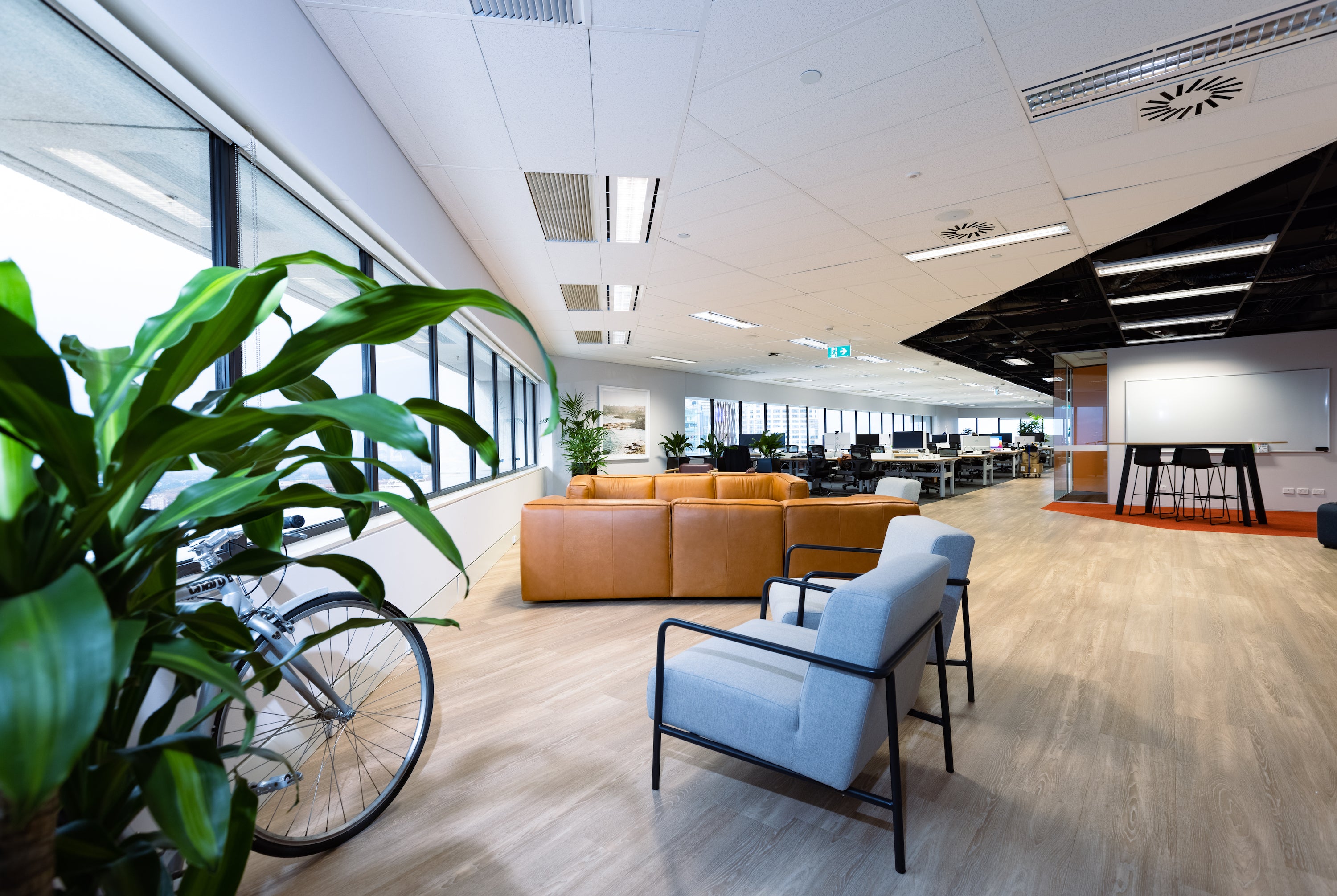 Creditor Watch - Sydney, NSW