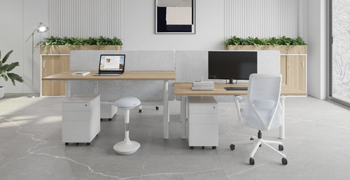 Ergonomic Workstations
