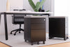 Mobile Pedestal with Filing Drawers Metal
