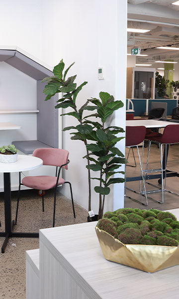 Sydney City Showroom