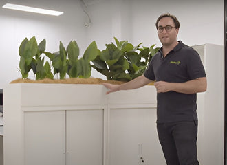 Jason on our sliding door credenza range