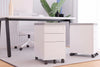 Slim Mobile Pedestal