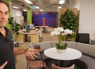 Jason on our sofa, lounge & collaborative soft furniture range