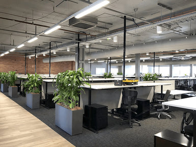Arkose Labs - Fortitude Valley, Queensland