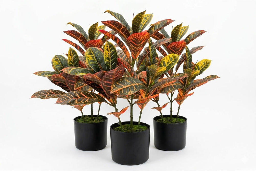 Artificial Cronton Leaves in Black Pot - Pack of 3-600mm Height  