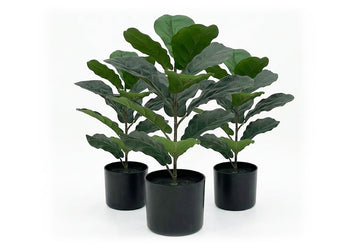 Artificial Fiddle Leaves in Black Pot - Pack of 3 Jasonl 530mm Height 