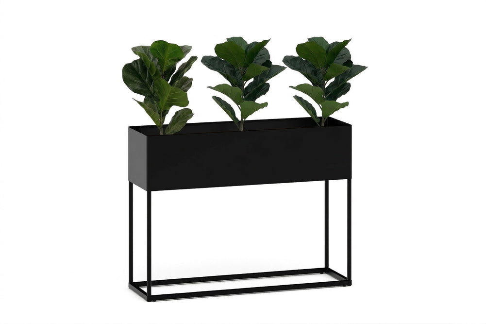 Artificial Fiddle Leaves in Black Pot - Pack of 3-530mm Height  