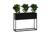 Artificial Fiddle Leaves in Black Pot - Pack of 3 - Thumbnail 2 