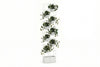 Artificial Hoya Plants - Pack of 4 - Thumbnail 2 