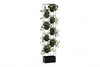 Artificial Hoya Plants - Pack of 4 - Thumbnail 3 