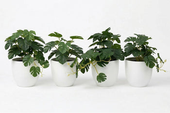 - Artificial Monstera Plants - Pack of 4 - 1