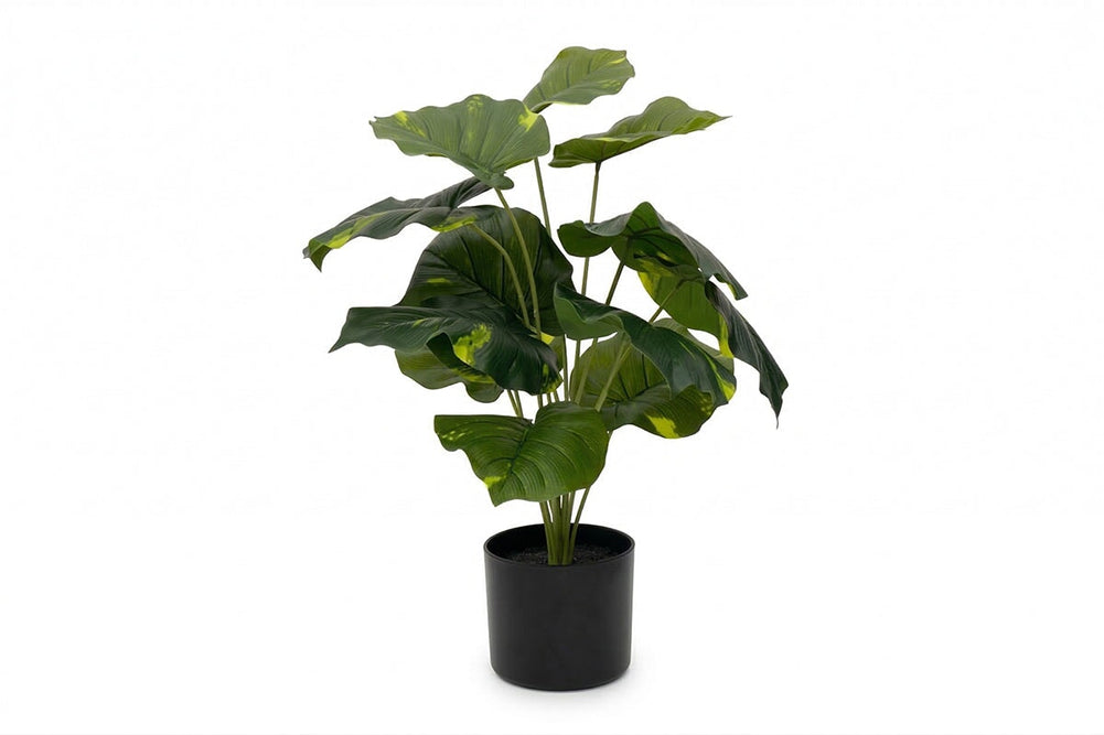 Artificial Taro Leaves in Black Pot - Pack of 3-600mm Height  
