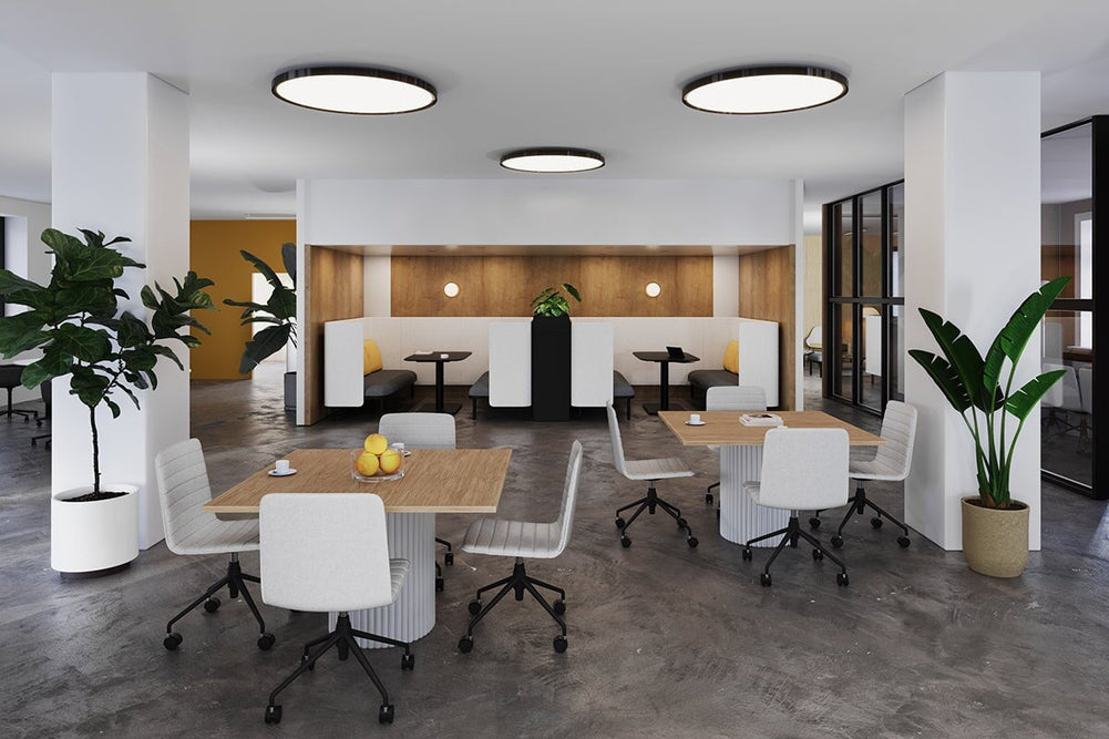 Baobab Circular Base Boardroom Rectangle Table [1200L x 1200W]-black leg  