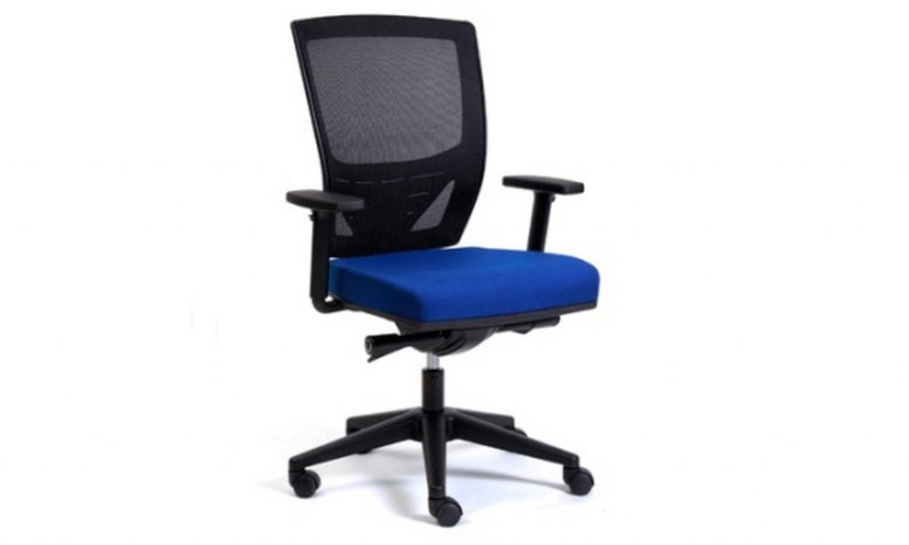 Jasonl Ergonomic Mesh Office Chair - Fantail