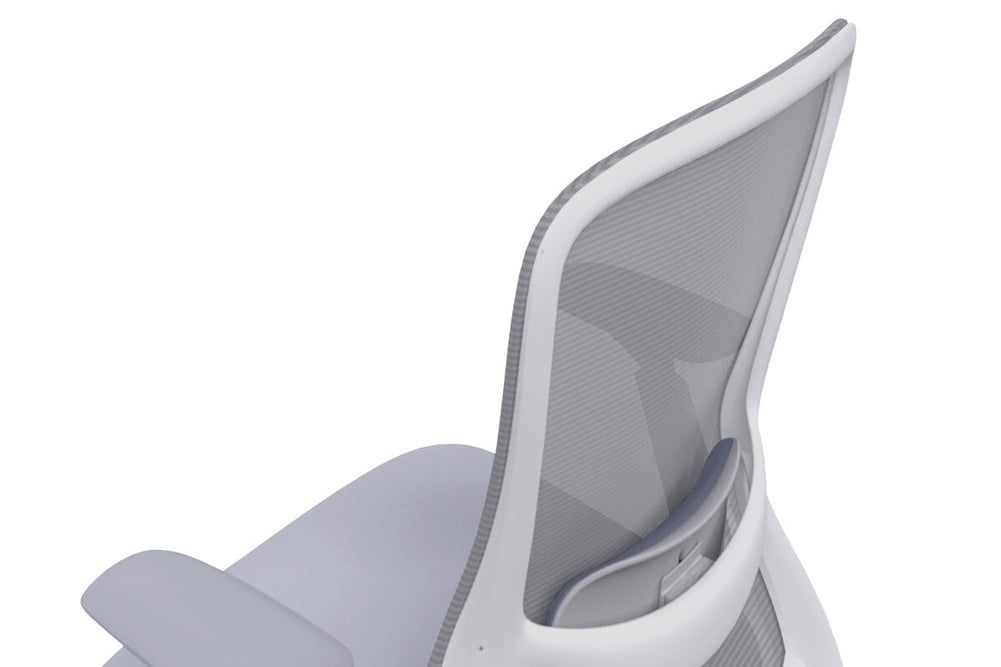 Falcon 2.0 Ergonomic Mesh Office Chair-light grey  