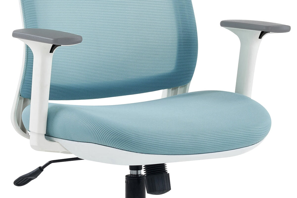 Finch Ergonomic Mesh Office Chair-blue height adjustable arms 