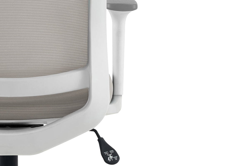 Finch Ergonomic Mesh Office Chair-blue height adjustable arms 