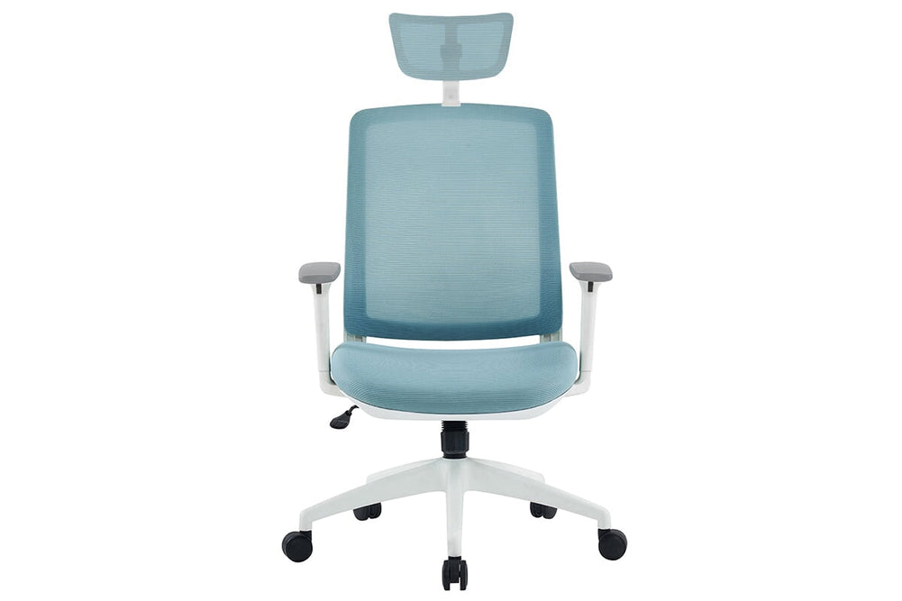 Finch Ergonomic Mesh Chair with Headrest-blue height adjustable arms 
