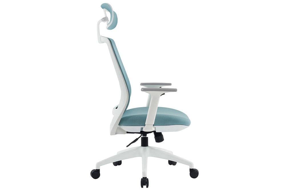 Finch Ergonomic Mesh Chair with Headrest-blue height adjustable arms 