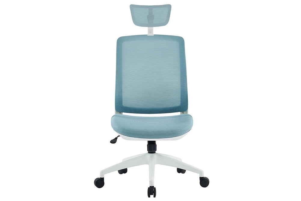 Finch Ergonomic Mesh Chair with Headrest-blue height adjustable arms 