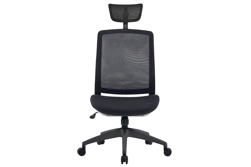 Finch Ergonomic Mesh Chair with Headrest-blue height adjustable arms 