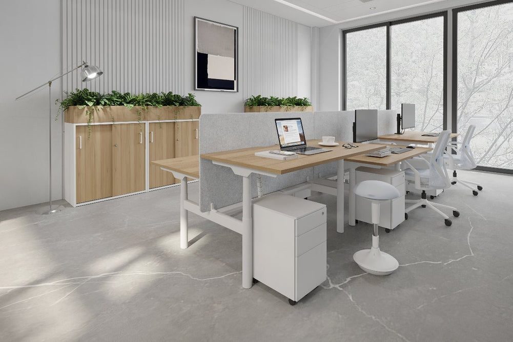 Flexi Premium Height Adjustable 6 Person H-Bench Workstation - White Frame [1600L x 800W with Cable Scallop]-dark oak moody charcoal (820H x 1600W) white cable tray