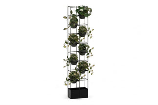 Grove High Standing Planter - Black Jasonl hoya none 