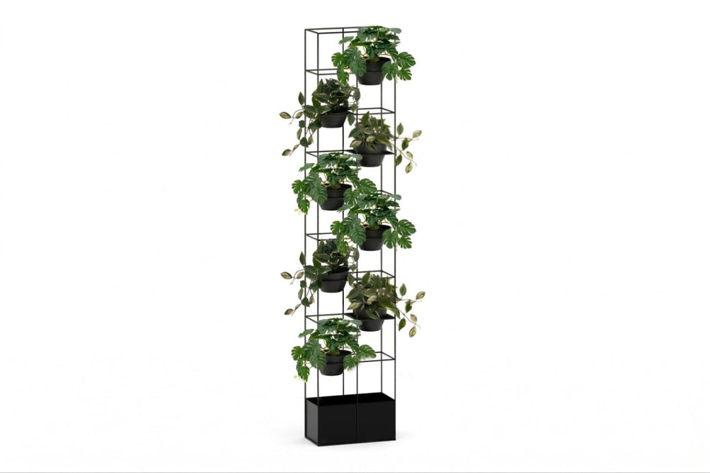 Grove High Standing Planter - Black-hoya and monstera (pack of 4 x 2) none 