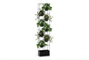 Grove High Standing Planter - Black - Thumbnail 5 