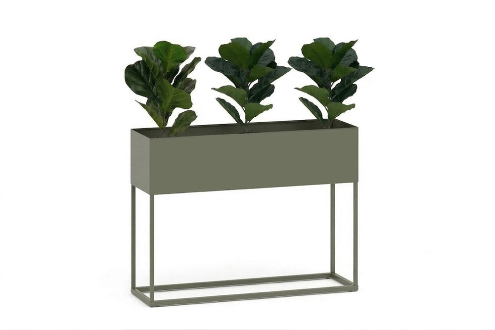 Grove Low Standing Planter-light green fiddle (pack of 3) 
