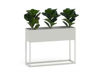 Grove Low Standing Planter Jasonl white fiddle (pack of 3) 