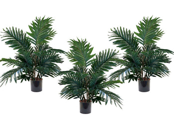 Palm Tree 700mm High - Set of 3 Jasonl 700m Height 