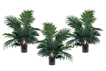  - Palm Tree 700mm High - Set of 3 - 1