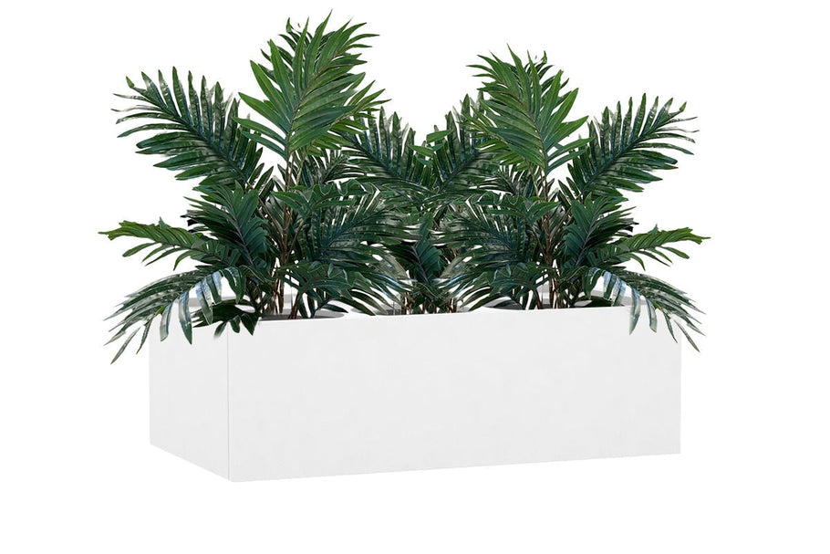 Environmental image of Palm Tree 700mm High - Set of 3