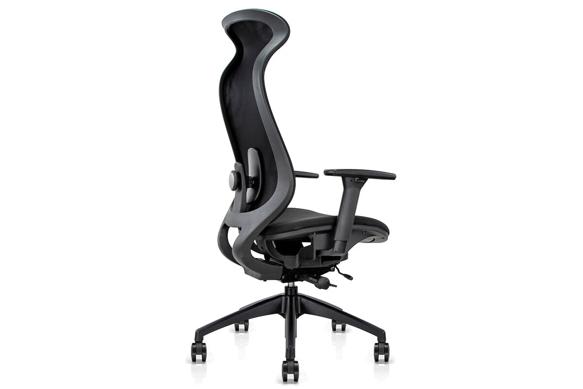 Pelican Ergonomic High Back Mesh Chair Jasonl 